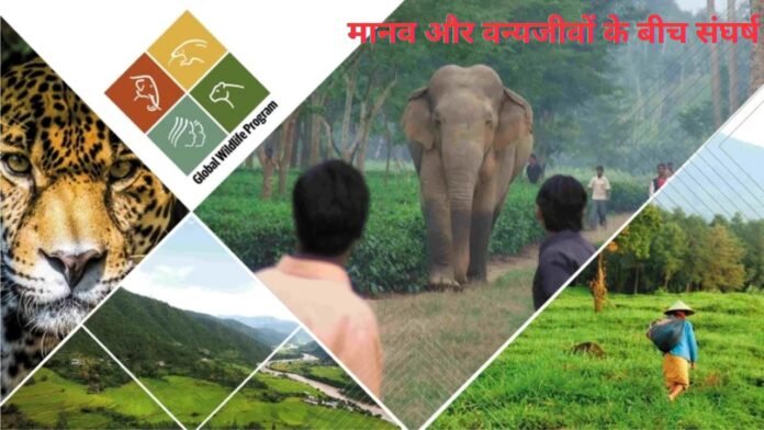 मानव-वन्यजीव संघर्ष